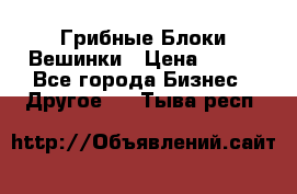 Грибные Блоки Вешинки › Цена ­ 100 - Все города Бизнес » Другое   . Тыва респ.